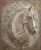 Embellished Horse Frame Vinyl Car Decal Sticker – Waterproof & UV-Resistant 8.0"