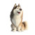 Happy Animated Malamute Vinyl Car Decal Sticker – Waterproof & UV-Resistant 3.4133333333333336"