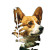 Corgi In Trees Vinyl Car Decal Sticker – Waterproof & UV-Resistant 3.4133333333333336"