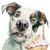 Guilty Dog Cake Vinyl Car Decal Sticker – Waterproof & UV-Resistant 3.4133333333333336"