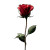 Red Rose Stem Vinyl Car Decal Sticker – Waterproof & UV-Resistant 3.4133333333333336"
