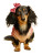 Dachshund In Pink Vinyl Car Decal Sticker – Waterproof & UV-Resistant 4.1066666666666665"