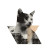Collage Cat Vinyl Car Decal Sticker – Waterproof & UV-Resistant 3.4133333333333336"