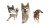 Joyful Beach Dogs Vinyl Car Decal Sticker – Waterproof & UV-Resistant 5.4