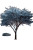 Lone Tree V3 Vinyl Car Decal Sticker – Waterproof & UV-Resistant 4.4