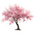 Cherry Blossom Tree V11 Vinyl Car Decal Sticker – Waterproof & UV-Resistant 3.4133333333333336"