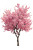 Cherry Tree V2 Vinyl Car Decal Sticker – Waterproof & UV-Resistant 8.96"