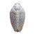 Iridescent Chrysalis Vinyl Car Decal Sticker – Waterproof & UV-Resistant 3.4133333333333336"