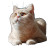 Beige British Shorthair Vinyl Car Decal Sticker – Waterproof & UV-Resistant 3.4133333333333336"