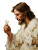 Jesus And Butterfly Vinyl Car Decal Sticker – Waterproof & UV-Resistant 8.213333333333333"