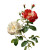 Botanical Rose Vinyl Car Decal Sticker – Waterproof & UV-Resistant 3.4133333333333336"