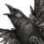 Dark Screaming Crow Vinyl Car Decal Sticker – Waterproof & UV-Resistant 3.4133333333333336"