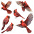 Flying Cardinals Vinyl Car Decal Sticker – Waterproof & UV-Resistant 6.826666666666667"