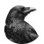 Circular Crow Drawing Vinyl Car Decal Sticker – Waterproof & UV-Resistant 3.4133333333333336"