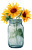 Sunflower Mason Jar V2 Vinyl Car Decal Sticker – Waterproof & UV-Resistant 4.533333333333333"