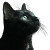 Cat V204 Vinyl Car Decal Sticker – Waterproof & UV-Resistant 3.4133333333333336"