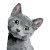 Gray Kitten Cartoon Vinyl Car Decal Sticker – Waterproof & UV-Resistant 6.826666666666667"