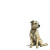 Dog In Park V3 Vinyl Car Decal Sticker – Waterproof & UV-Resistant 3.4133333333333336"