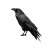 Nordic Runes Raven Vinyl Car Decal Sticker – Waterproof & UV-Resistant 3.4133333333333336"