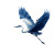 Blue Heron Flying Vinyl Car Decal Sticker – Waterproof & UV-Resistant 3.4133333333333336"