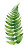 Open Fern Leaf Vinyl Car Decal Sticker – Waterproof & UV-Resistant 4.8533333333333335"