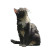Cat V192 Vinyl Car Decal Sticker – Waterproof & UV-Resistant 3.4133333333333336"
