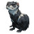 Annoyed Fantasy Weasel Vinyl Car Decal Sticker – Waterproof & UV-Resistant 3.4133333333333336"