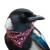 Bandana Magpie Vinyl Car Decal Sticker – Waterproof & UV-Resistant 3.4133333333333336"