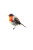 Minimalistic Robin Drawing Vinyl Car Decal Sticker – Waterproof & UV-Resistant 8.96"