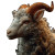 Sheep Face Horn Vinyl Car Decal Sticker – Waterproof & UV-Resistant 3.4133333333333336"