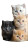 Colorful Kittens Bowl Vinyl Car Decal Sticker – Waterproof & UV-Resistant 9.706666666666667"