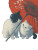 Cute Cat V57 Vinyl Car Decal Sticker – Waterproof & UV-Resistant 8.213333333333333"