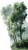 Calming Trees Vinyl Car Decal Sticker – Waterproof & UV-Resistant 4.8533333333333335"