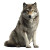 Wolf Sitting Vinyl Car Decal Sticker – Waterproof & UV-Resistant 3.4133333333333336"