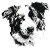 Fierce Aussie Shepherd Vinyl Car Decal Sticker – Waterproof & UV-Resistant 3.4133333333333336"