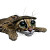 Snake-Eyed Cats Vinyl Car Decal Sticker – Waterproof & UV-Resistant 6.826666666666667"