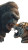 Gorilla Vs Tiger Vinyl Car Decal Sticker – Waterproof & UV-Resistant 9.706666666666667"