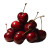 Plump Cherries Vinyl Car Decal Sticker – Waterproof & UV-Resistant 3.4133333333333336"