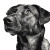 Dog V78 Vinyl Car Decal Sticker – Waterproof & UV-Resistant 3.4133333333333336"