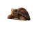 Turtle In Suitcase Vinyl Car Decal Sticker – Waterproof & UV-Resistant 3.4133333333333336"