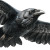 Swooping Raven Vinyl Car Decal Sticker – Waterproof & UV-Resistant 3.4133333333333336"