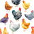 Whimsical Chickens Pattern Vinyl Car Decal Sticker – Waterproof & UV-Resistant 3.4133333333333336"