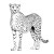 Cute Cheetah Clipart Vinyl Car Decal Sticker – Waterproof & UV-Resistant 3.4133333333333336"