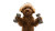 Poodle Puppy Workout Vinyl Car Decal Sticker – Waterproof & UV-Resistant 2.72"