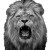 Angry Lion Face V3 Vinyl Car Decal Sticker – Waterproof & UV-Resistant 3.4133333333333336"