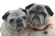 Elder Summertime Pugs Vinyl Car Decal Sticker – Waterproof & UV-Resistant 2.986666666666667"
