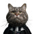 Darth Vader Cat Vinyl Car Decal Sticker – Waterproof & UV-Resistant 3.4133333333333336"