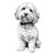 Cockapoo Line Drawing Vinyl Car Decal Sticker – Waterproof & UV-Resistant 6.826666666666667"