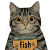 Cat With Fish Can Vinyl Car Decal Sticker – Waterproof & UV-Resistant 3.4133333333333336"