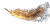Flaming Feather Vinyl Car Decal Sticker – Waterproof & UV-Resistant 5.4
